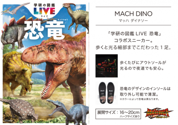 恐竜 🦕恐竜シリーズ🦖キッズの光るスニーカーが登場！！ | ショップ