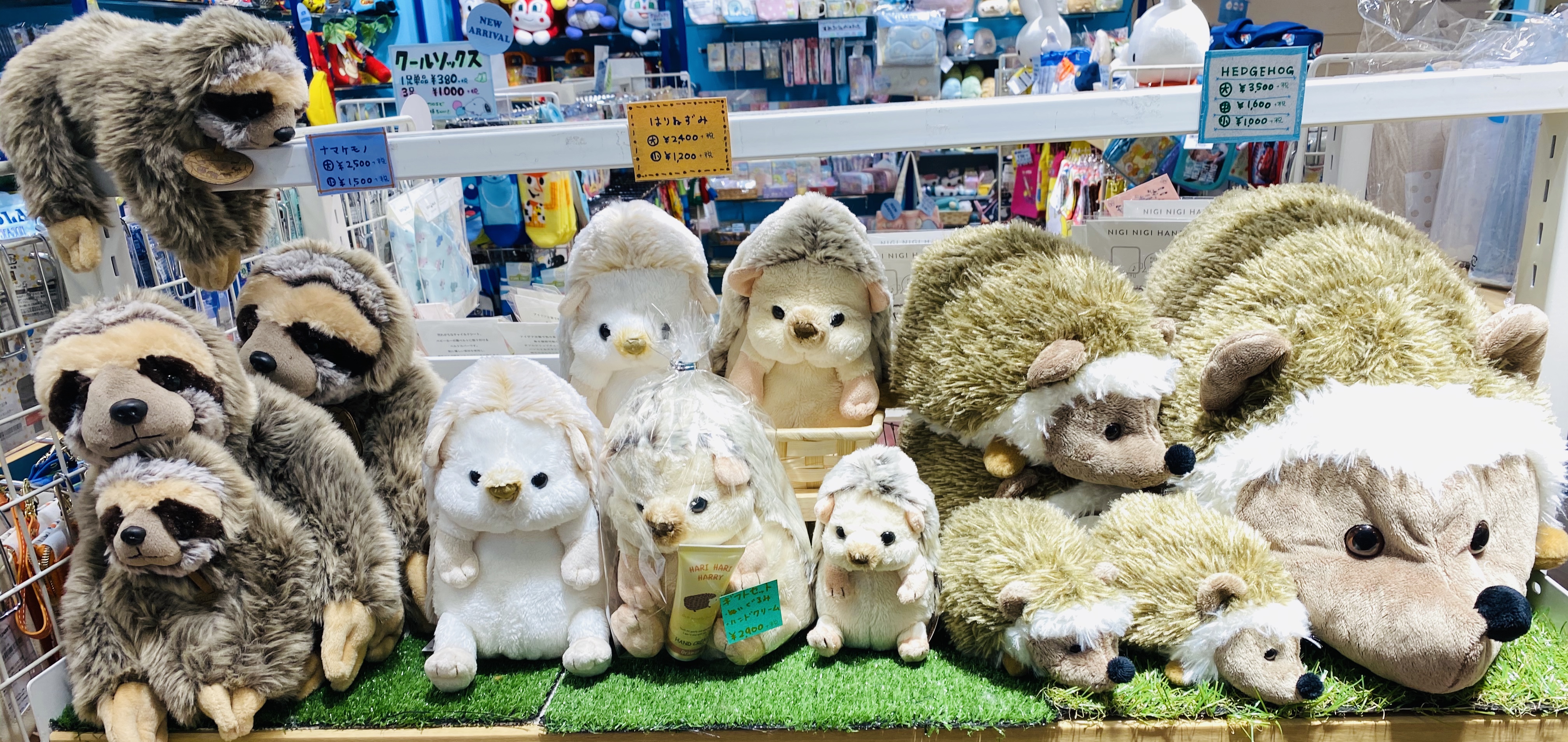 ハリネズミとナマケモノ キートス ショップニュース たまプラーザ テラス